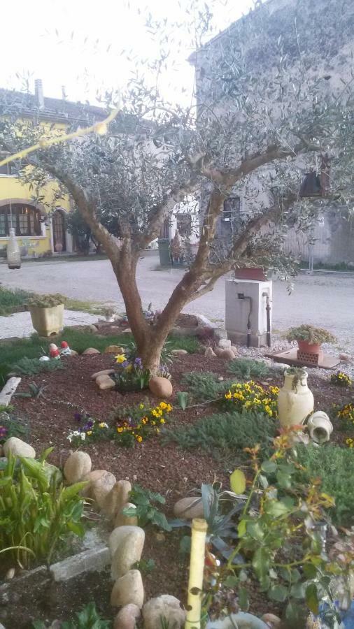 B&B Peschi in Fiore Valeggio sul Mincio Exterior foto